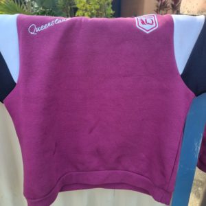 Childs Queenslander Hoodie found Mt Sheridan