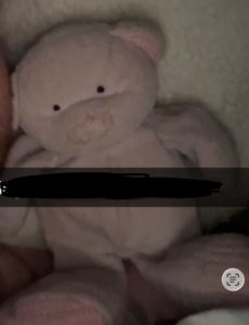 Pink teddy bear lost in Brisbane