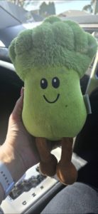 Found Broccoli toy