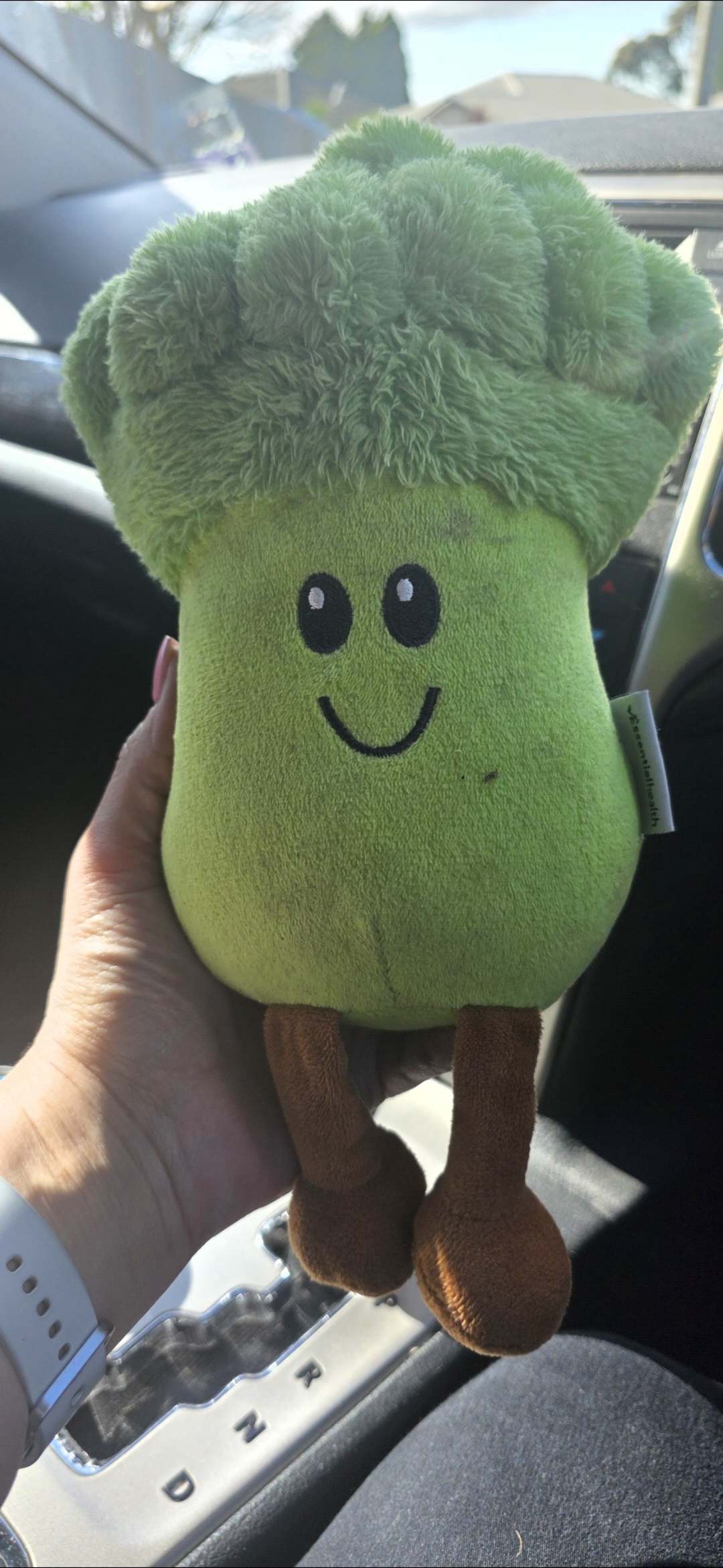 Found Broccoli toy