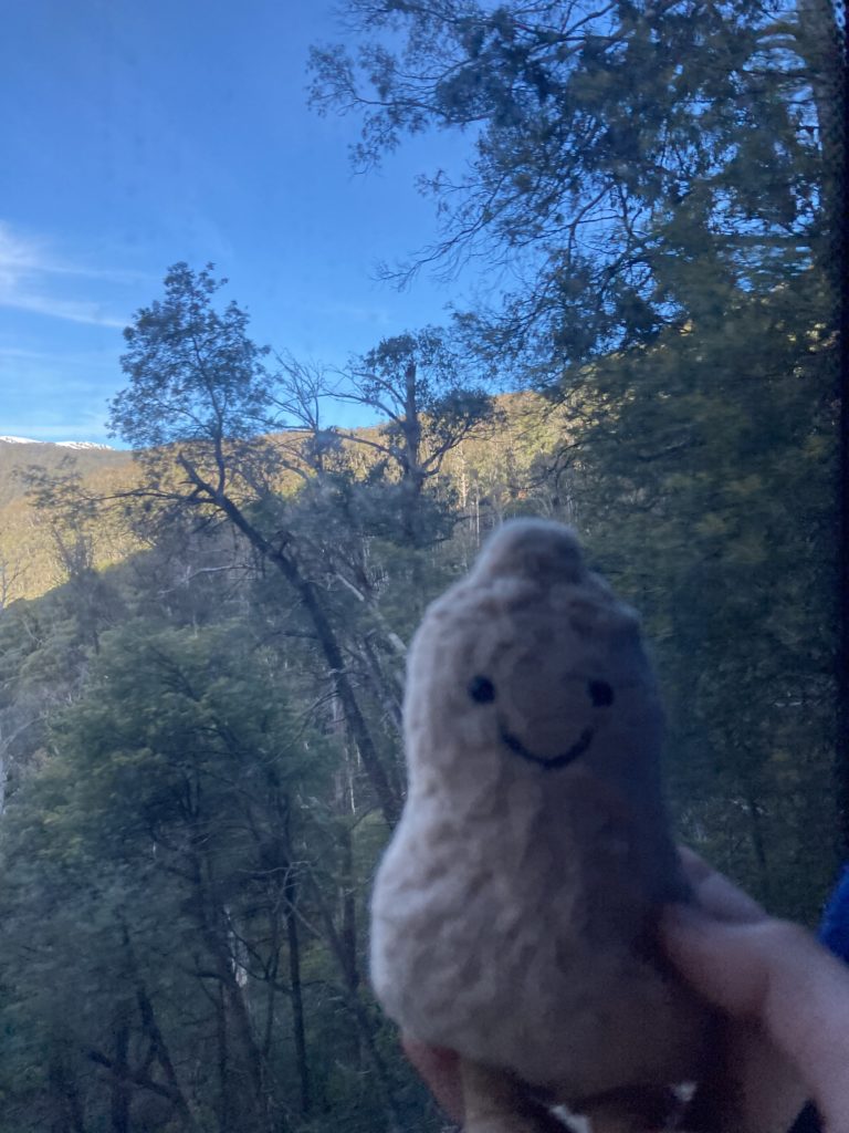 Lost Peanut jellycat_1_Sydney_300626