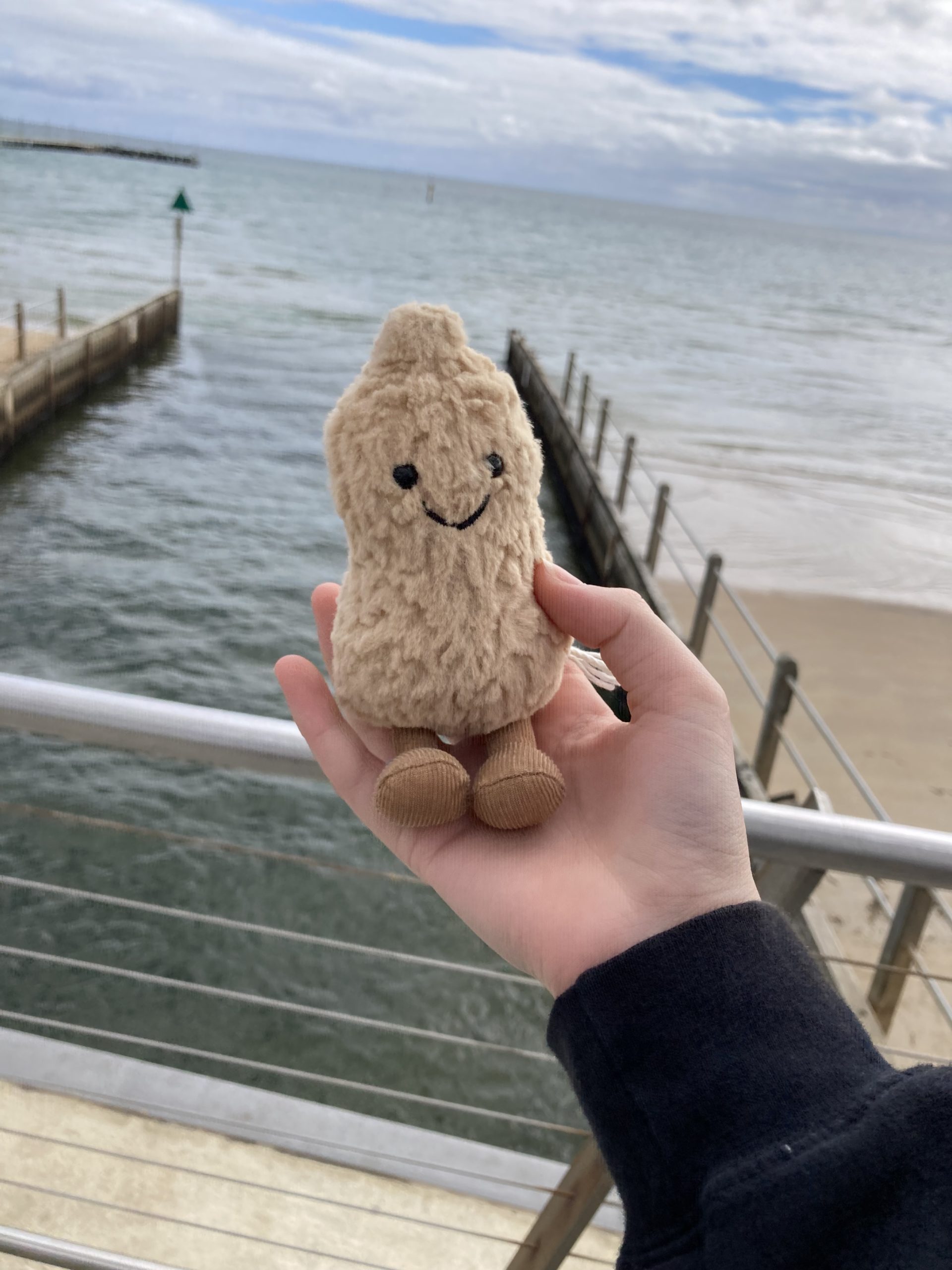 Lost Peanut jellycat