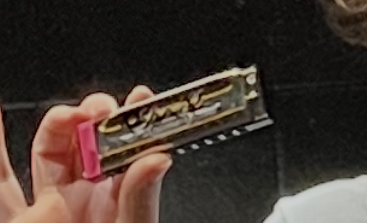 Lost Harmonica