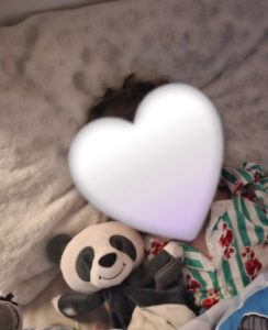 Lost Panda Riff Raff