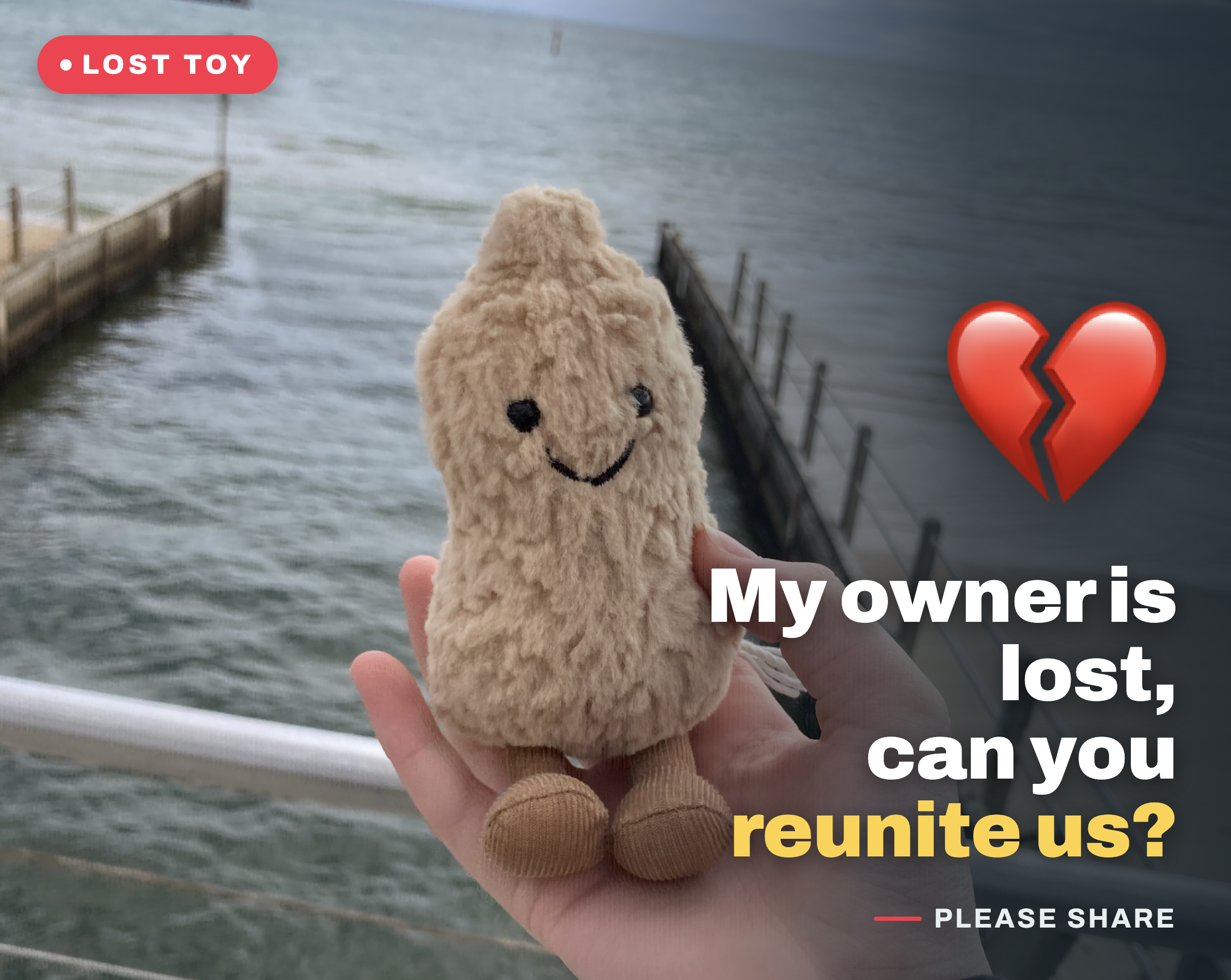 Lost Peanut of the week