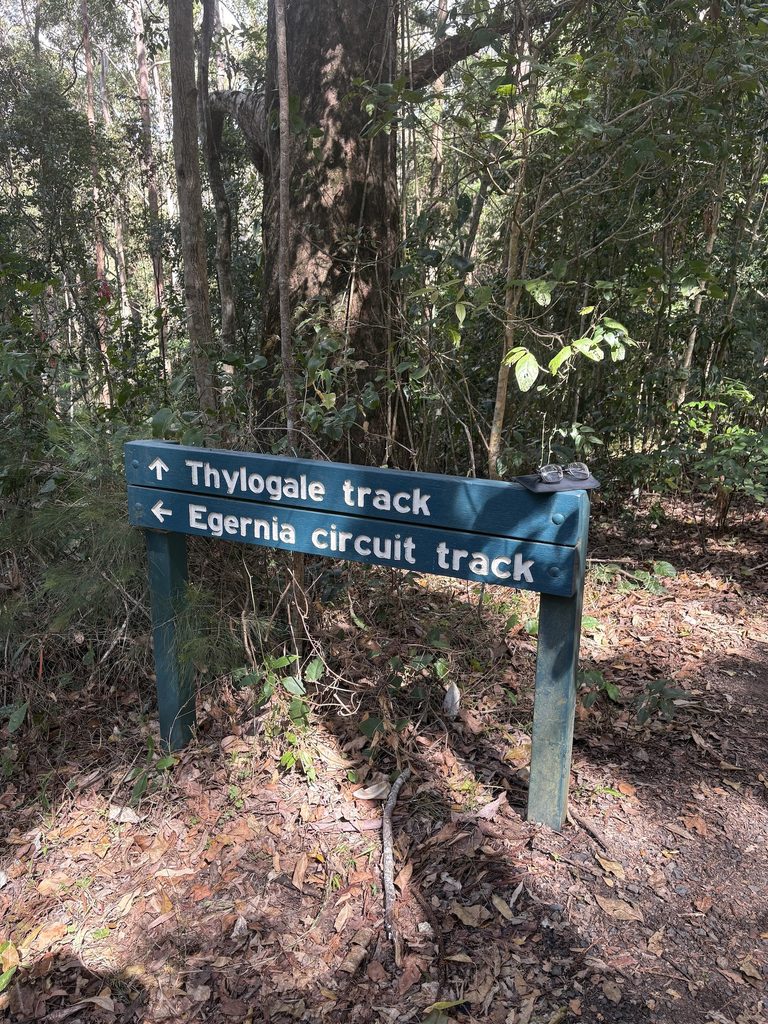 Found_glasses bushwalk location_300826