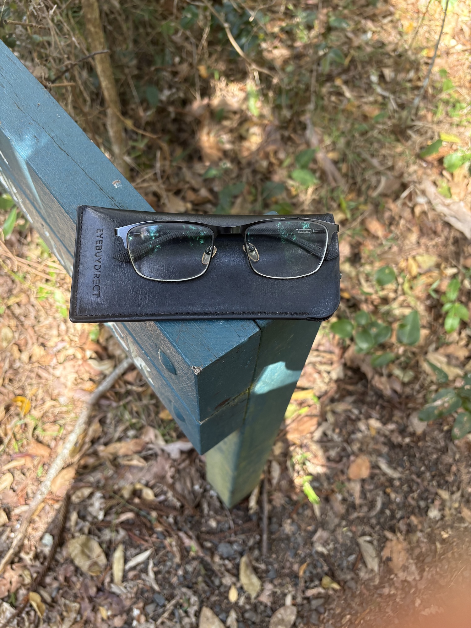 Found glasses Mt Nebo