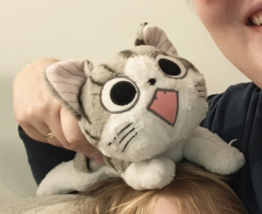 Lost plushie cat toy