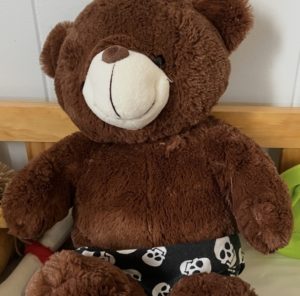 Lost brown teddy bear Brisbane