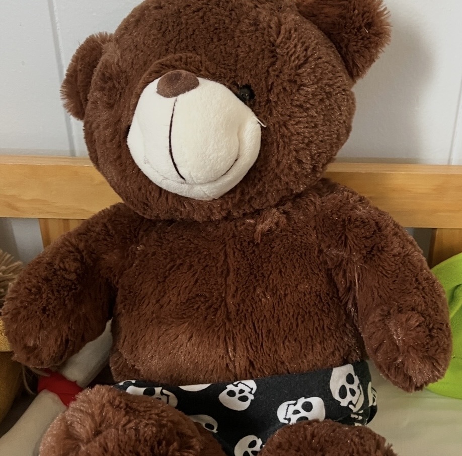 Lost brown teddy bear Brisbane