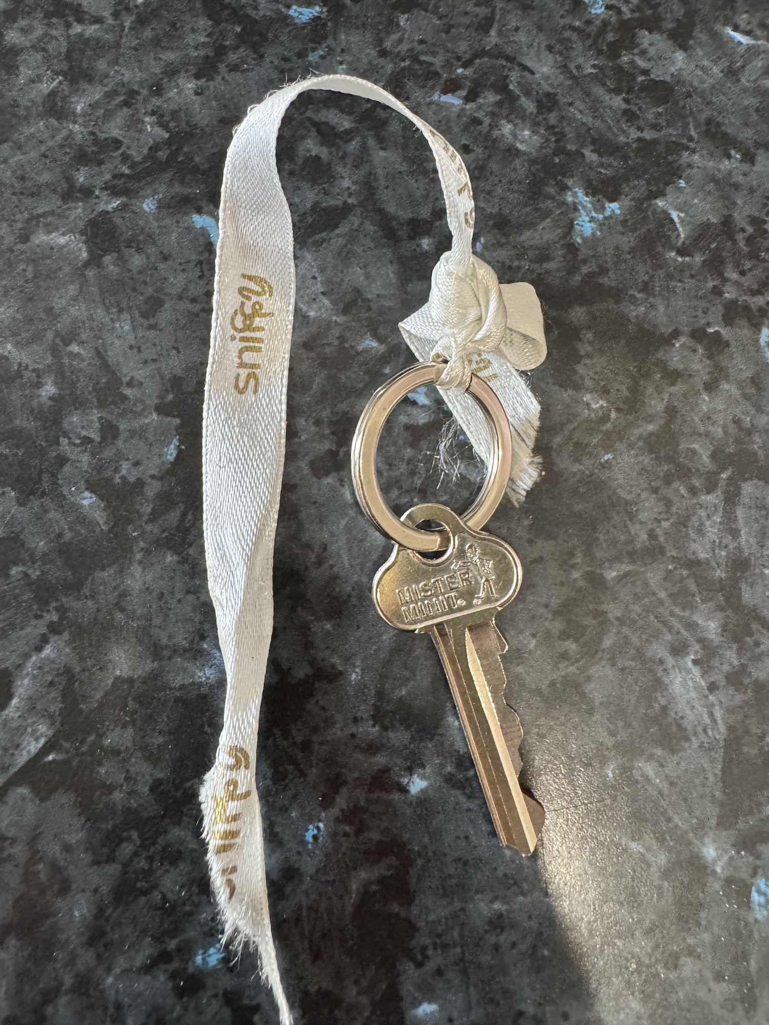Found Silver Key with Ribbon Sydney
