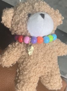 Found Plush Teddy Bear Brisbane