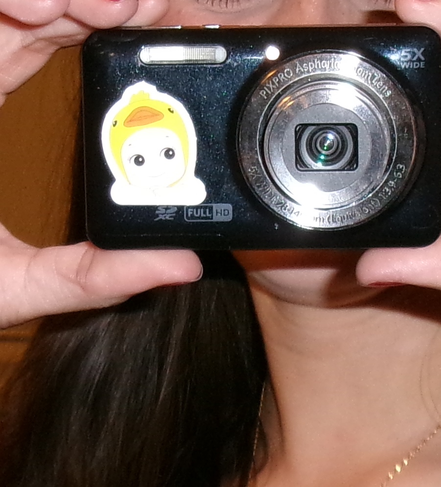 Lost Kodak FZ55 Camera Melbourne